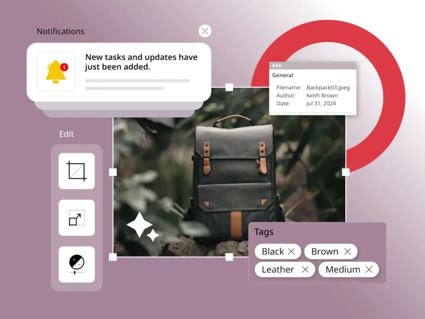 illustration showing essential digital asset management features for e-commerce businesses