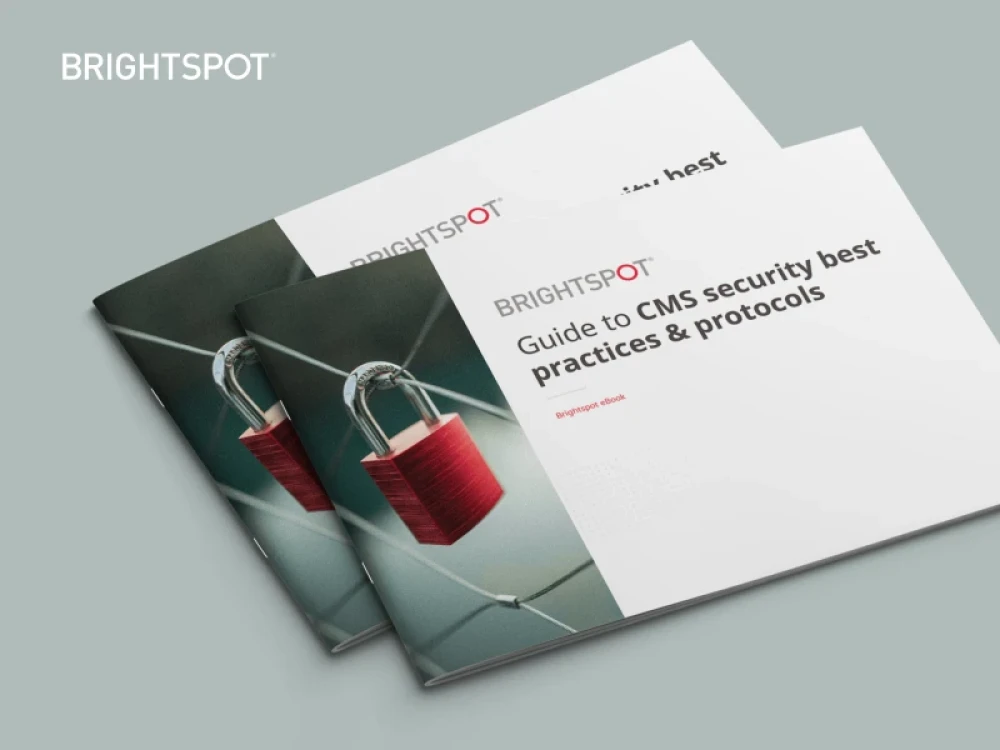 Guide to CMS security e-book cover